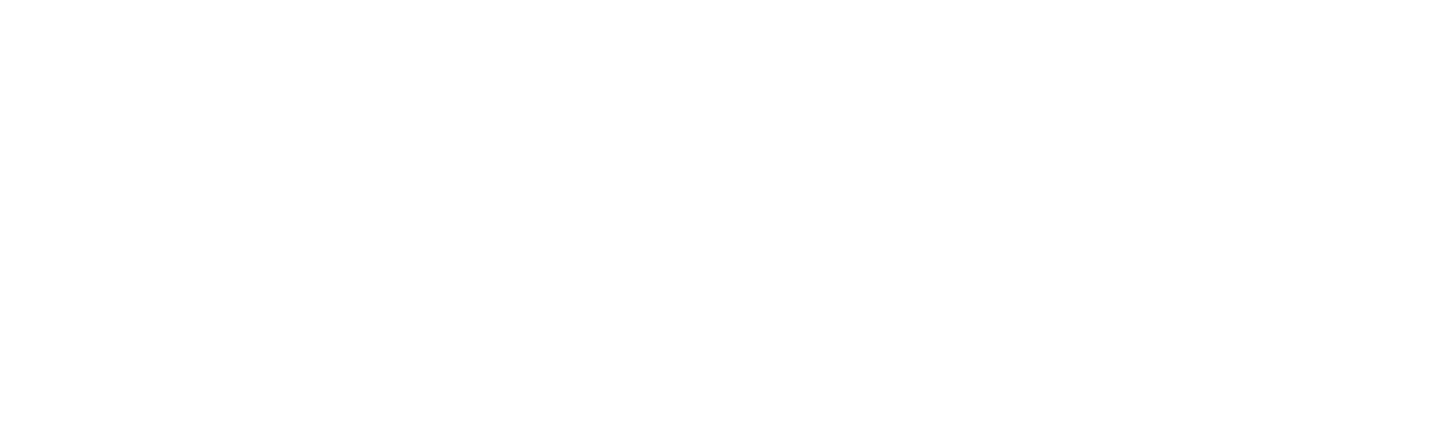 Naviera Austral